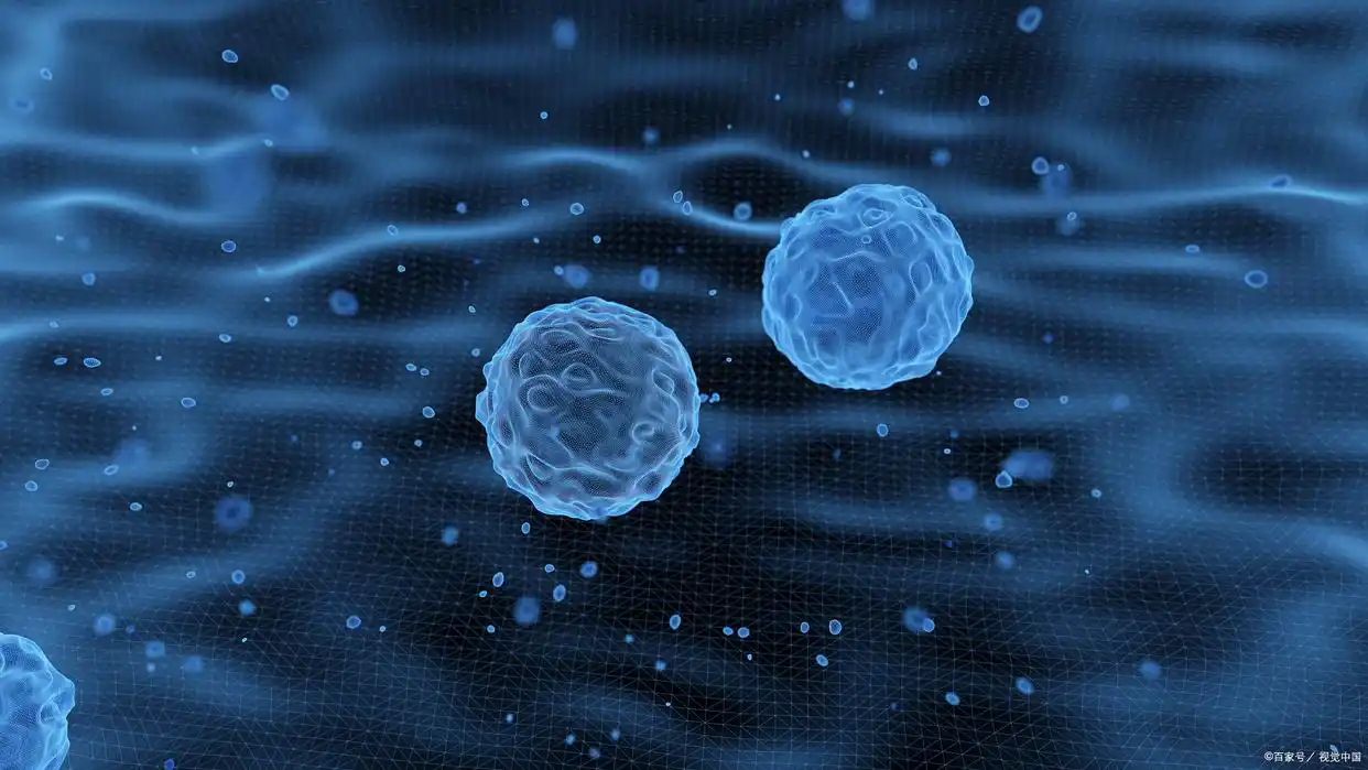 为“万能修复师”定制培养方案——突破间充质干细胞扩增难题