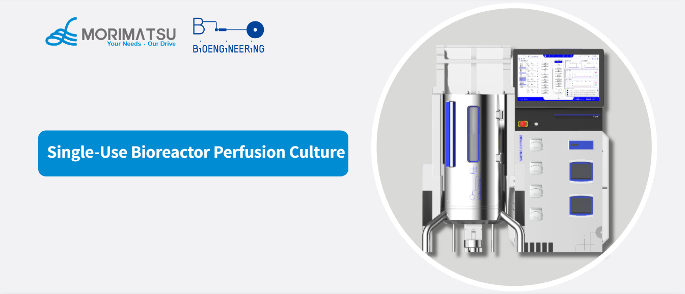 Single-Use Bioreactor Perfusion Culture: Opportunities and Considerations for Continuous Biomanufacturing