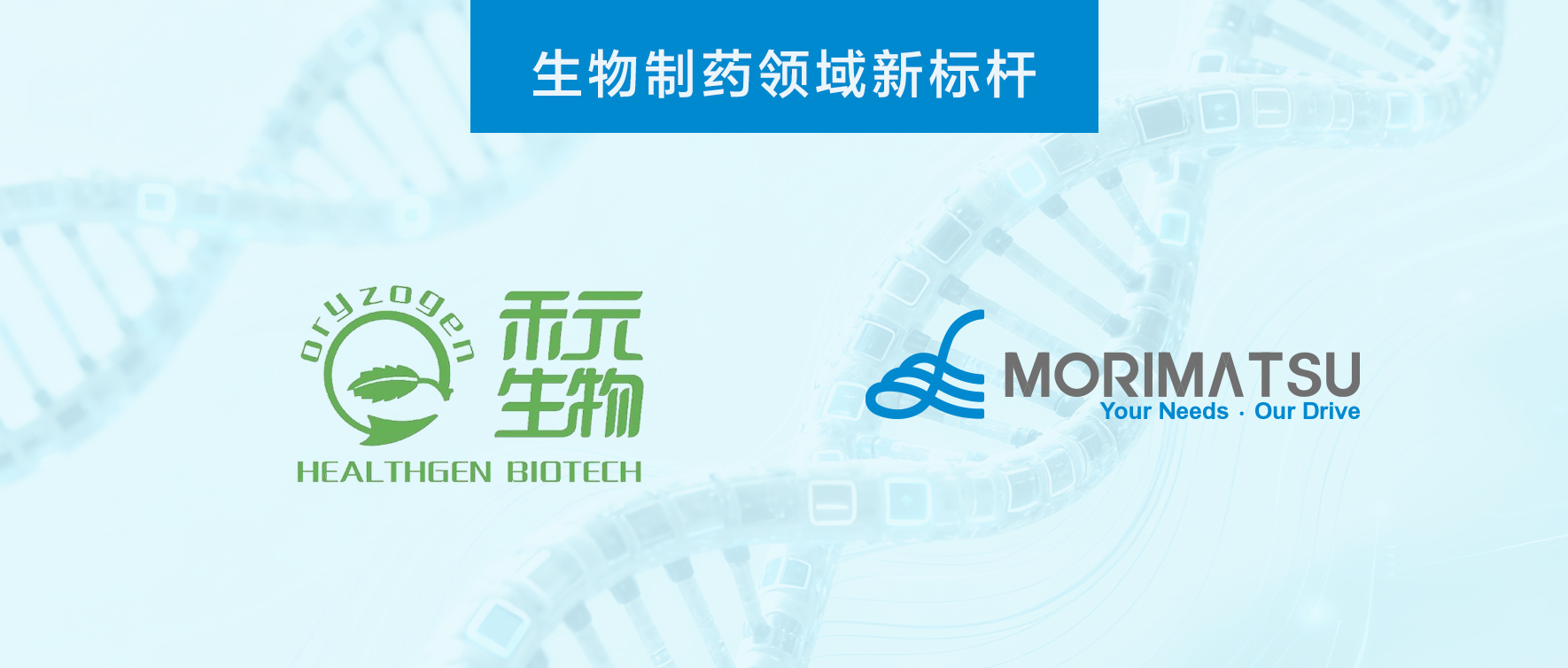 重塑行业格局：森松携手禾元生物，打造全球首创植物源人血清白蛋白产业化标杆基地